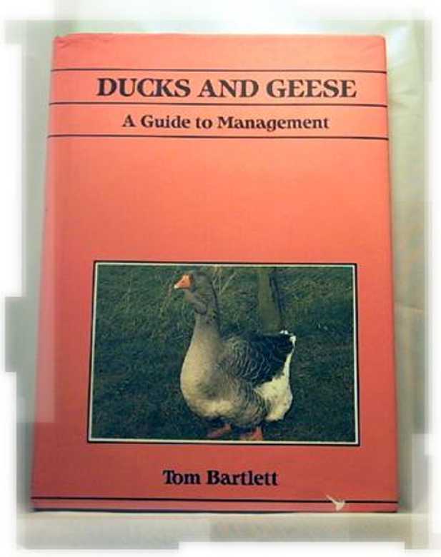 Ducks and Geese-Bartlett; FIRST EDITION; 1986; (ill Joffe) (Joffe) Hardback+DJ - Picture 1 of 1