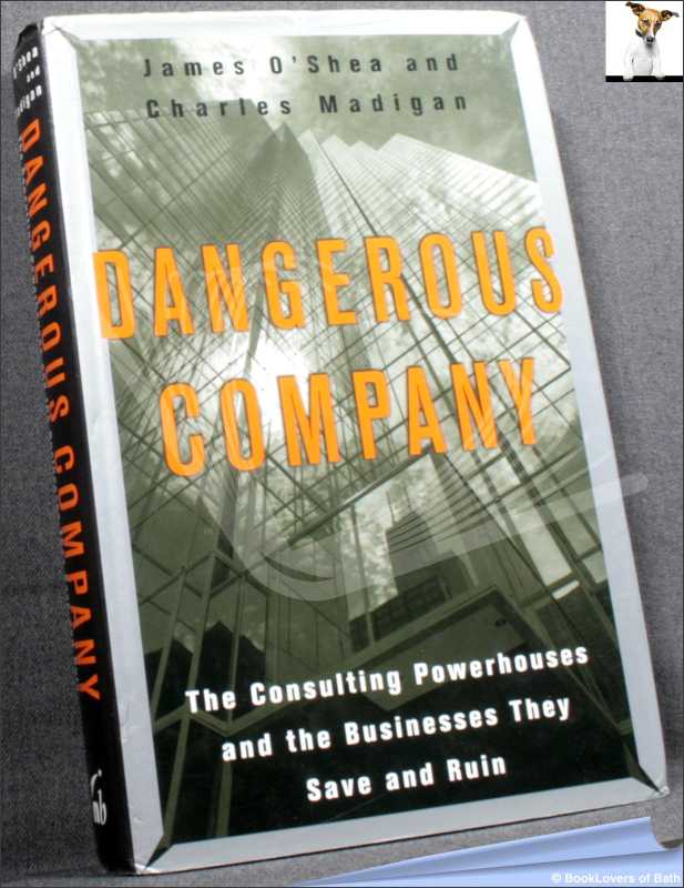 Dangerous Company-Madigan; FIRST EDITION; 1997; Hardback in dust wrapper - Afbeelding 1 van 1