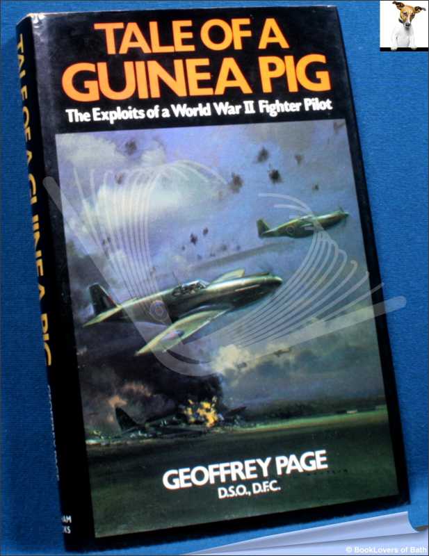 Tale of a Guinea Pig-Page; FIRST EDITION; 1981; Hardback in dust wrapper - Foto 1 di 1